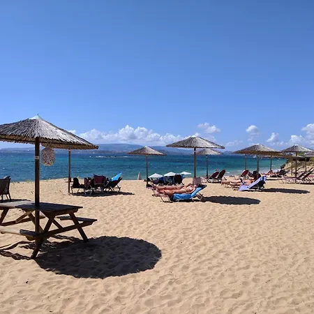 Whte One Bedroom Villa *